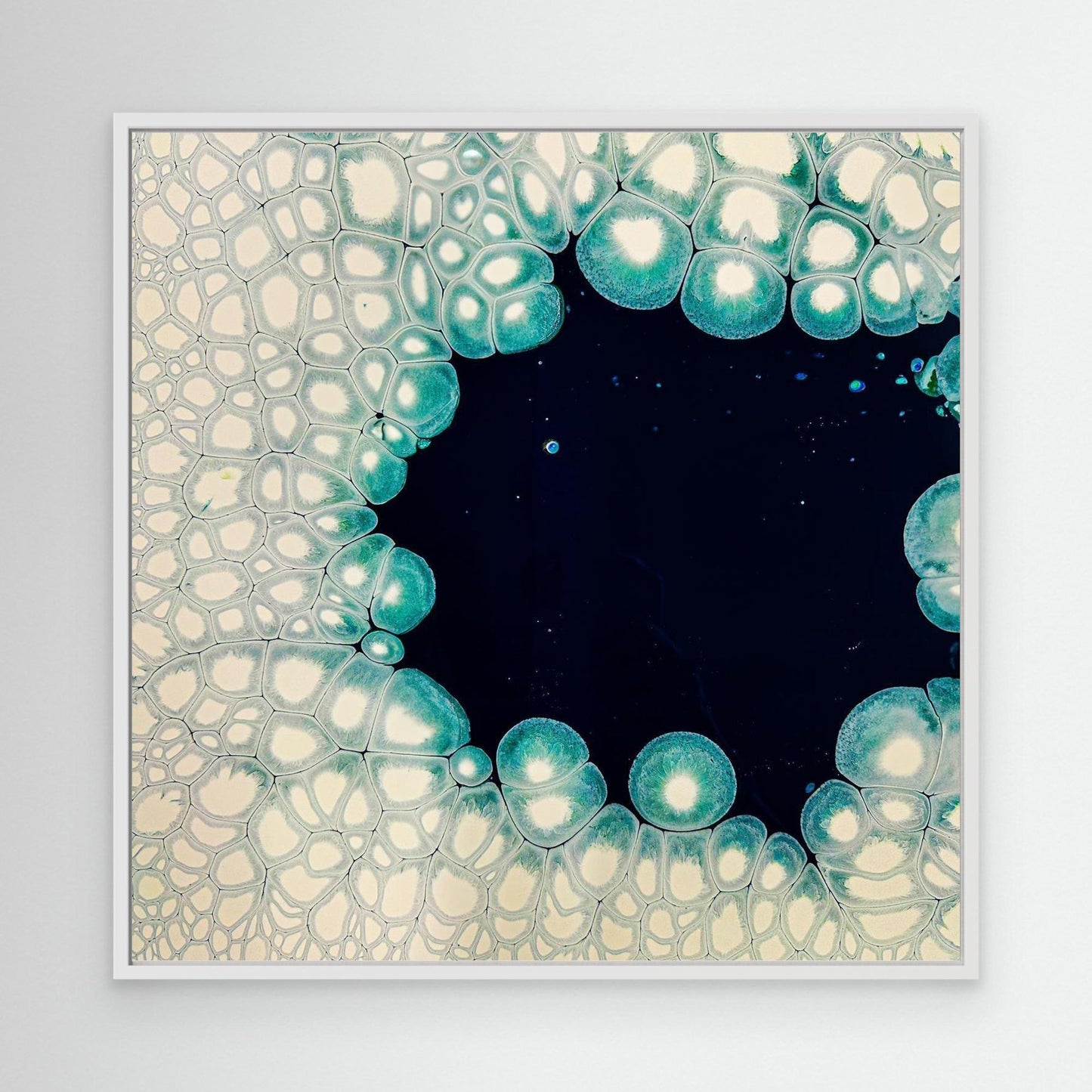 Oceanic Meiosis