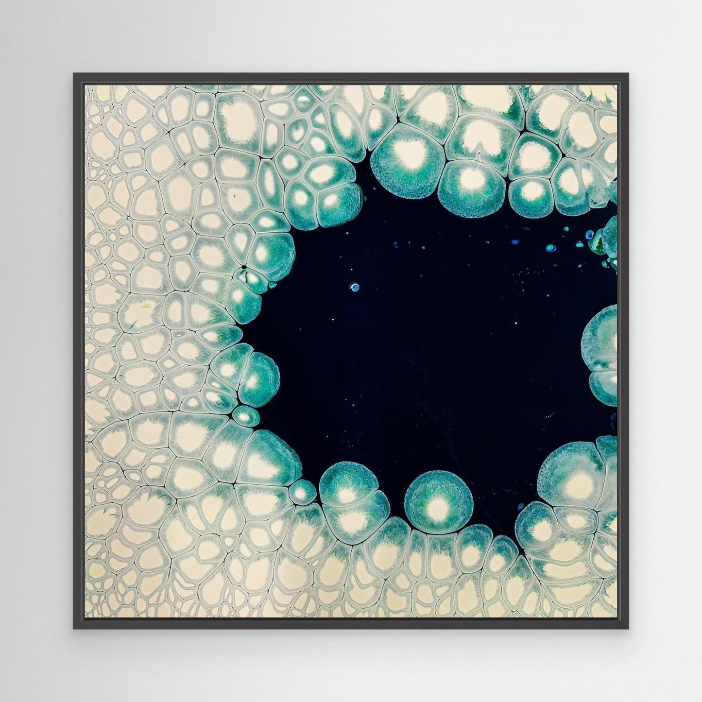 Oceanic Meiosis