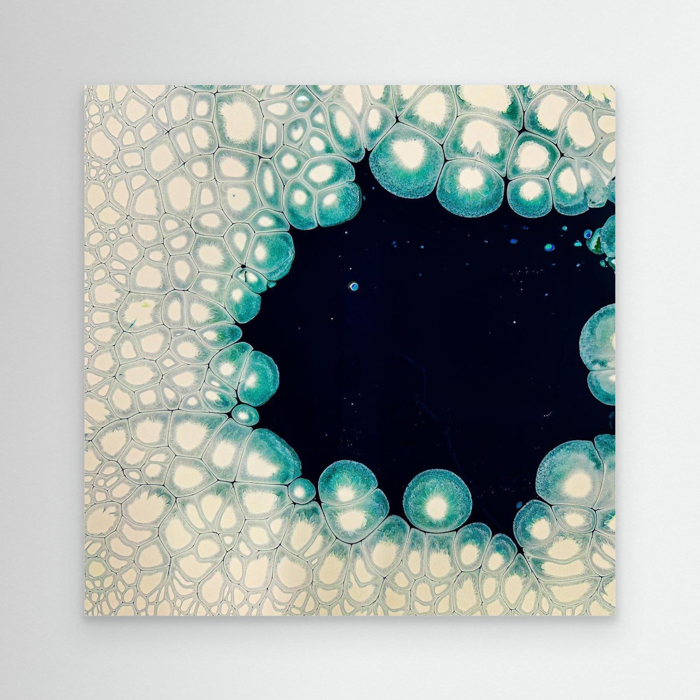 Oceanic Meiosis
